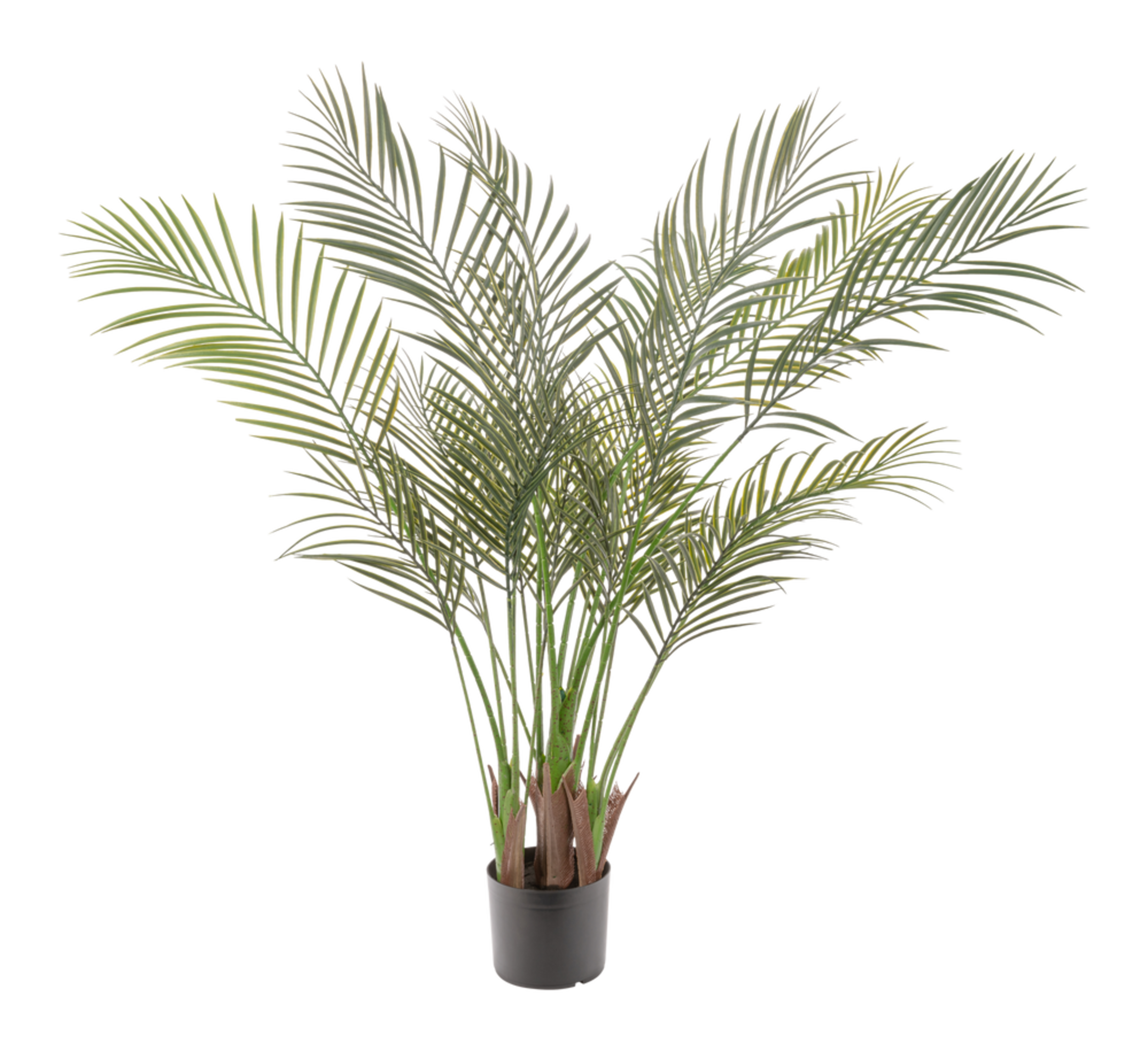 Naturae Décor Artificial Indoor/Outdoor Areca Palm Tree, 47-in Front_Flat
