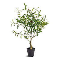 Naturae Décor Artificial Indoor Olive Tree in Black Pot, 33-in Front_Elevated