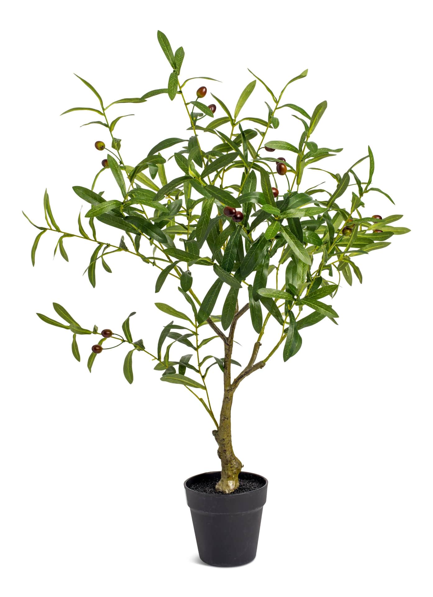 Naturae Décor Artificial Indoor/Outdoor Olive Tree in Black Pot