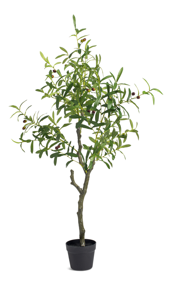 White Olive Tree, Ceramic Olive Tree With Brass Olive Branches, Olive Tree  With Split Trunk and Ceramic Olives 