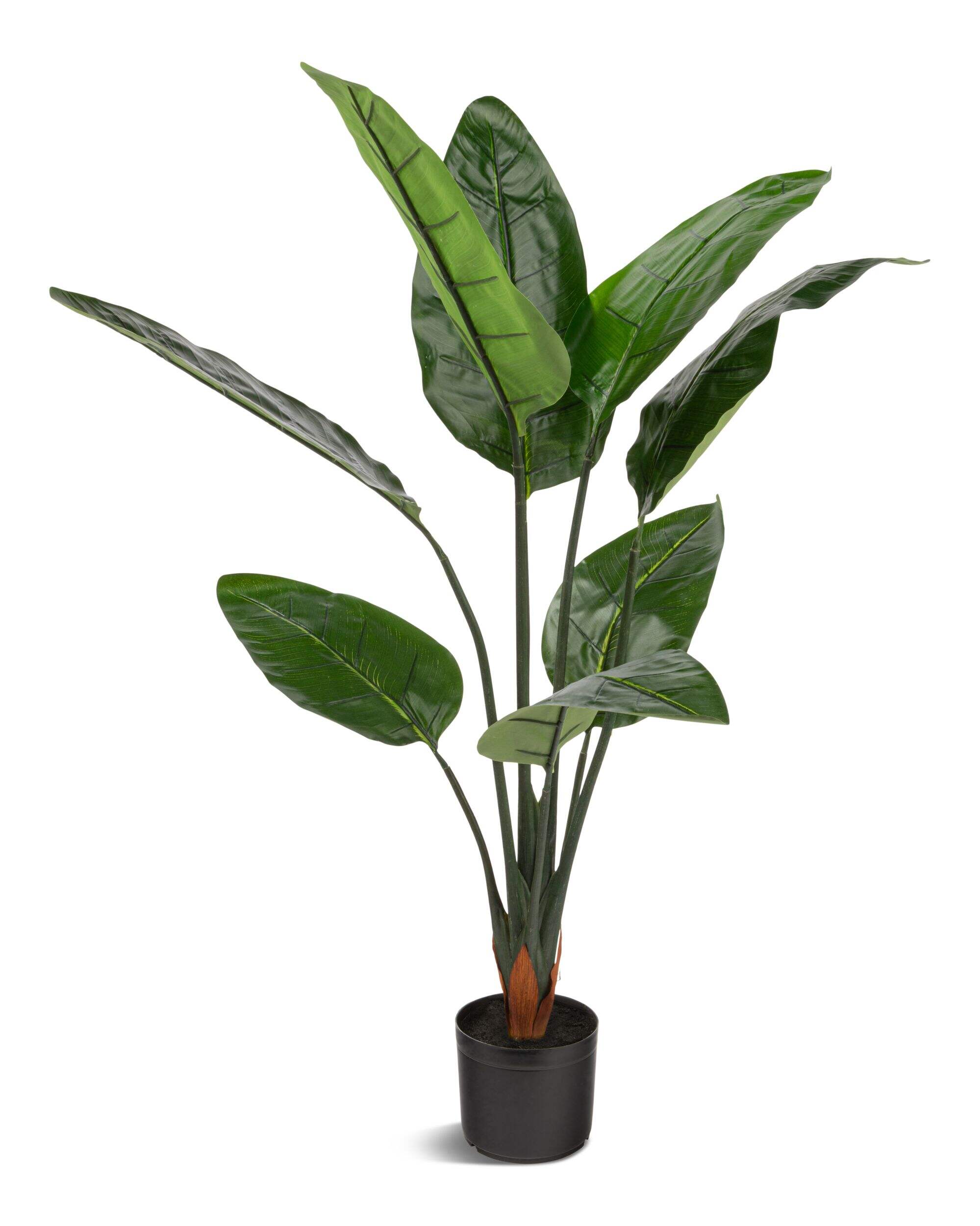 Plantes d'intérieur et d'extérieur Naturae décor, oiseau artificiel, pot noir, 45 po Front_Elevated