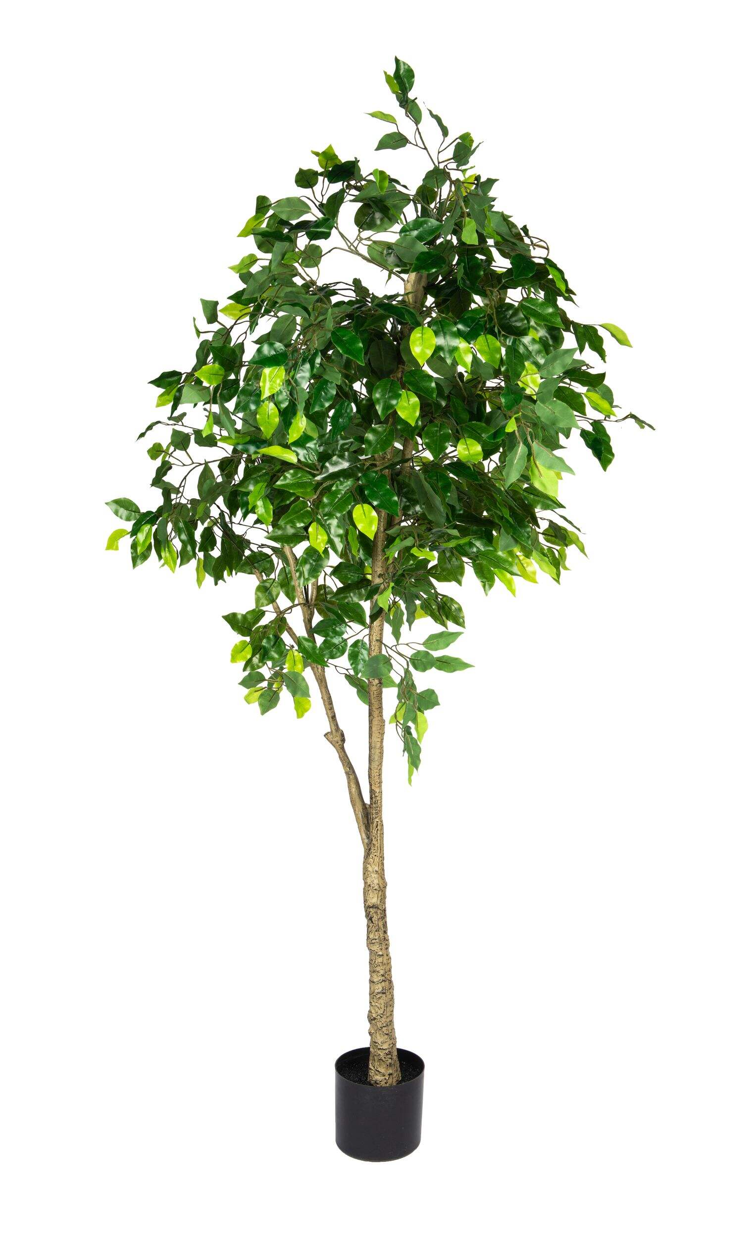 Naturae Décor Artificial Indoor Ficus Leaf Tree, 70-in Front_Flat