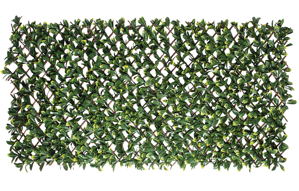 Naturae Décor Willow Expandable Trellis Laurel Leaf, 40in x 80in