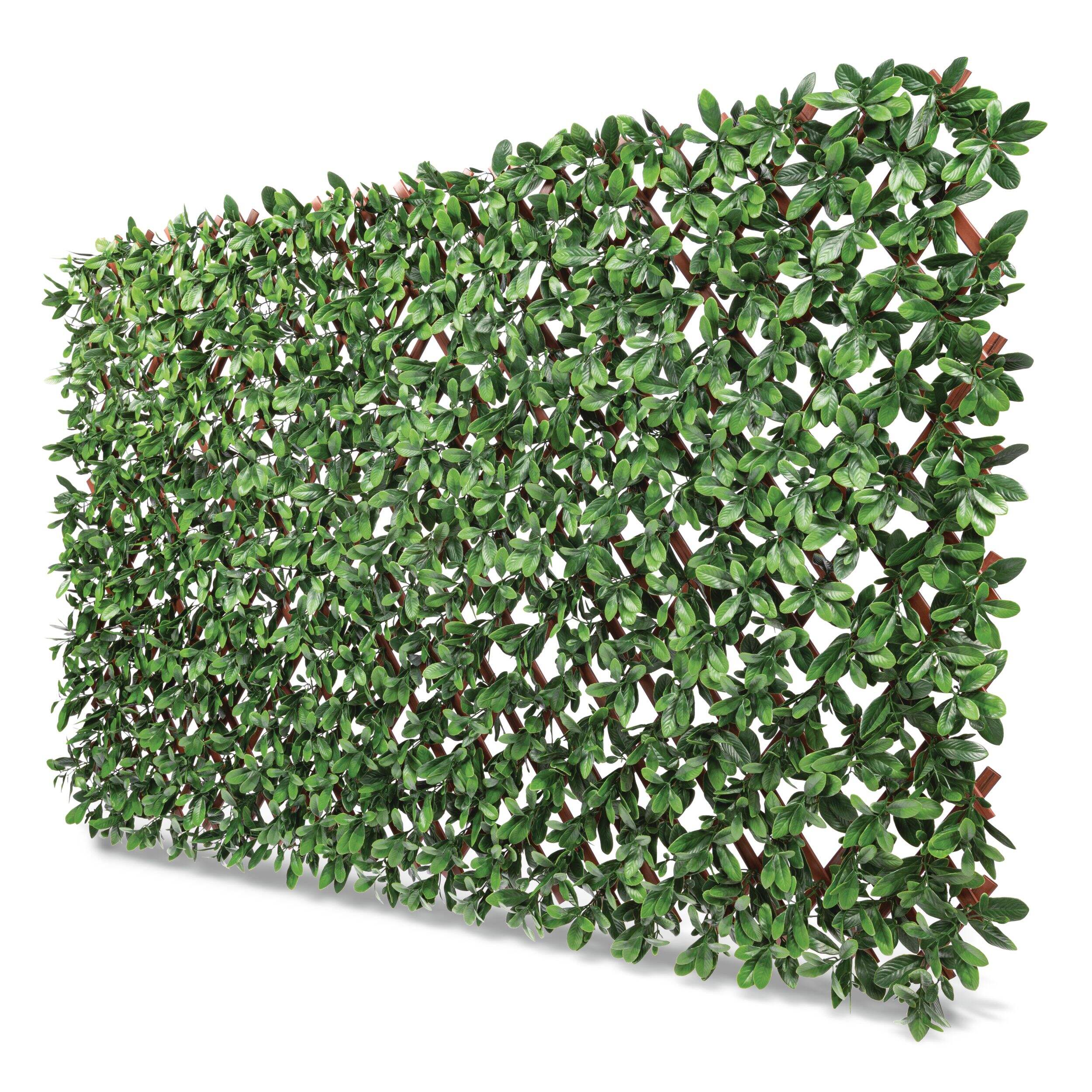 Naturae Décor PVC Expandable Trellis Indoor/Outdoor Ficus Leaf, 40-in x 80-in Front_Three_Fourths_Angled_Left