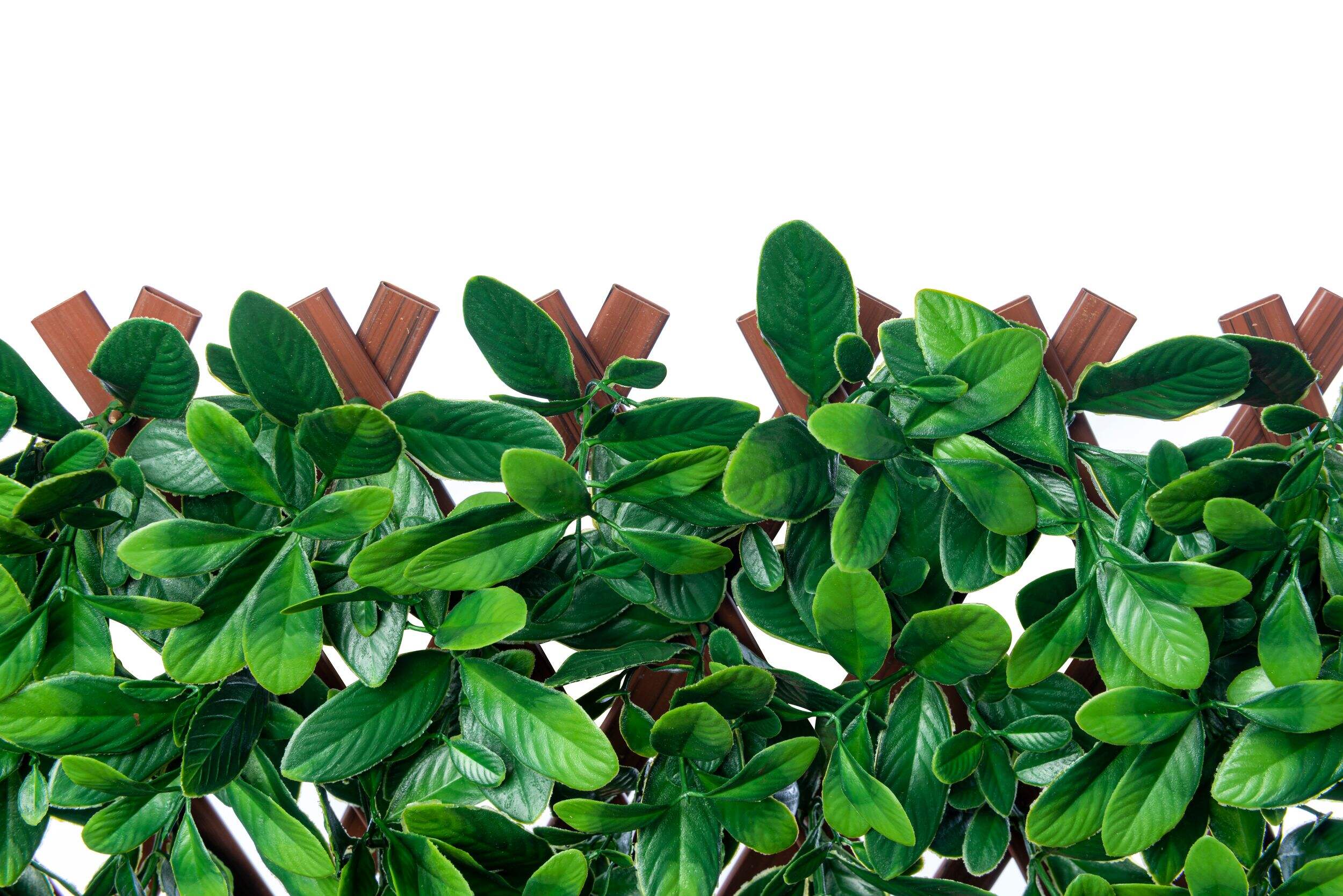 Naturae Décor PVC Expandable Trellis Ficus Leaf, 40in x 80in