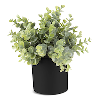 Naturae Décor Artificial Indoor Eucalyptus Plant in Black Pot, 10-in Front_Flat
