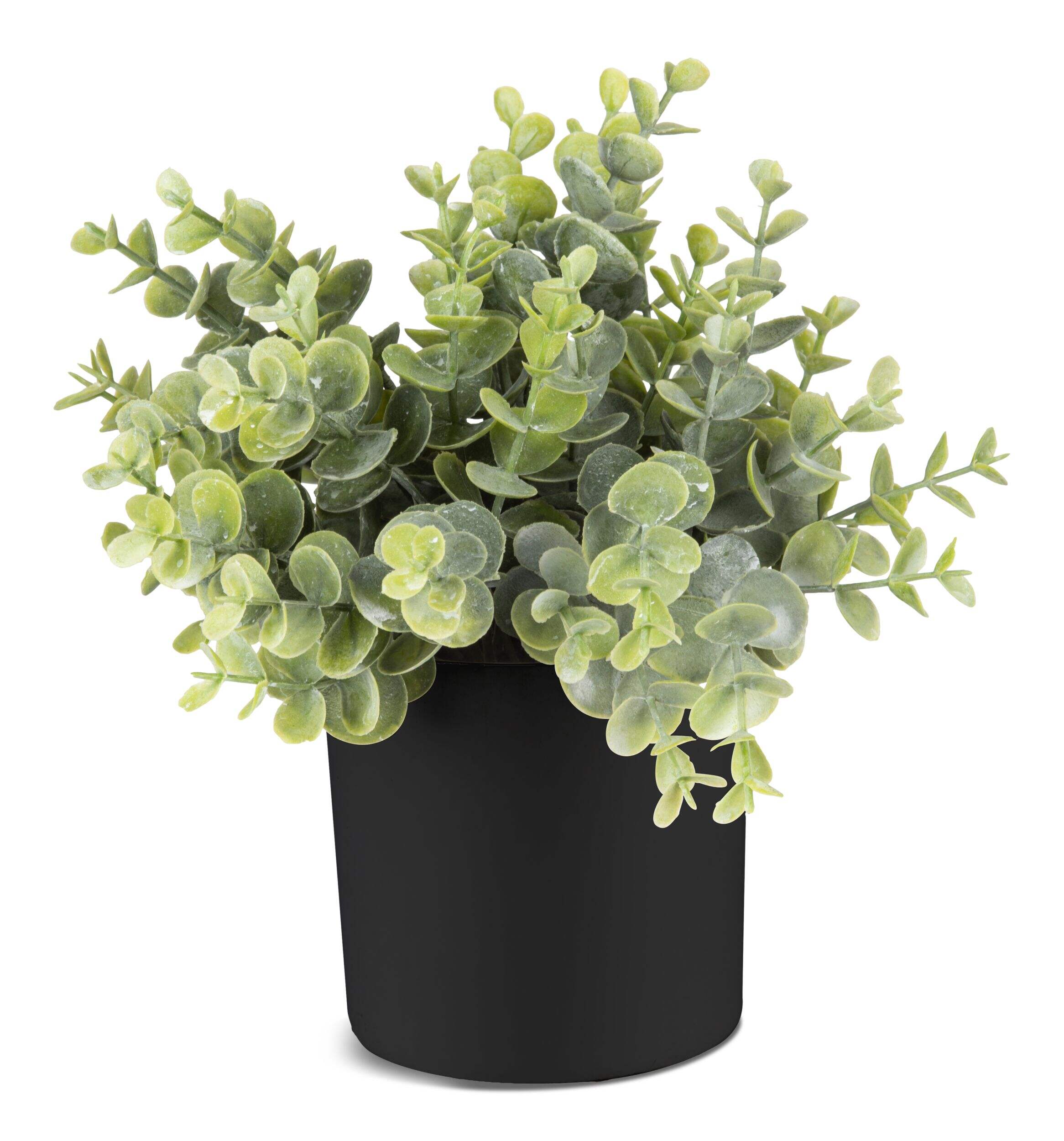 Naturae Décor Artificial Indoor Eucalyptus Plant in Black Pot, 10-in Front_Flat