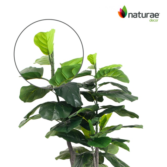 Naturae Décor Artificial Indoor/Outdoor Fiddle Leaf Tree in Black Pot