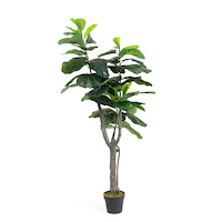 Naturae Décor Artificial Indoor Fiddle Leaf Tree in Black Pot, 63-in Front_Elevated
