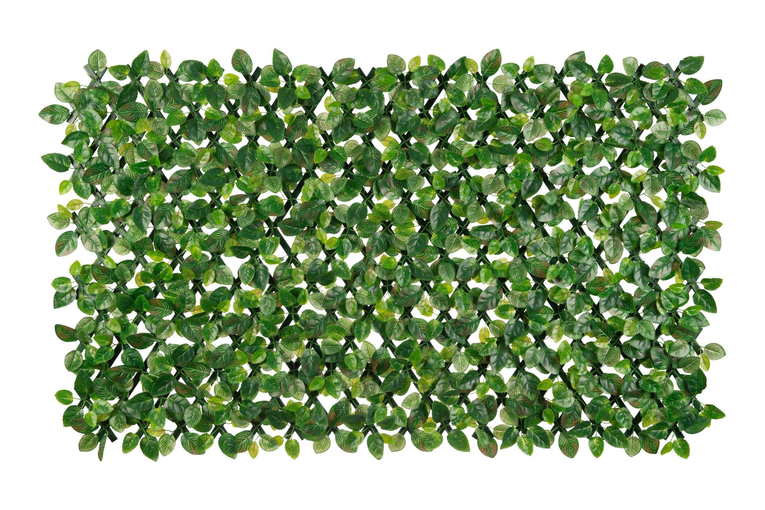 Naturae Décor 40x80-in Trellis Fittonia Leaves Expandable Artificial Indoor/Outdoor Green Wall Front_Flat