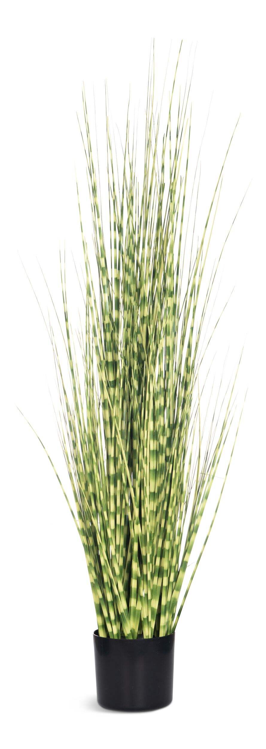 Naturae Décor 47-in Artificial Indoor/Outdoor Zebra Grass Plant with Black Pot Front_Flat