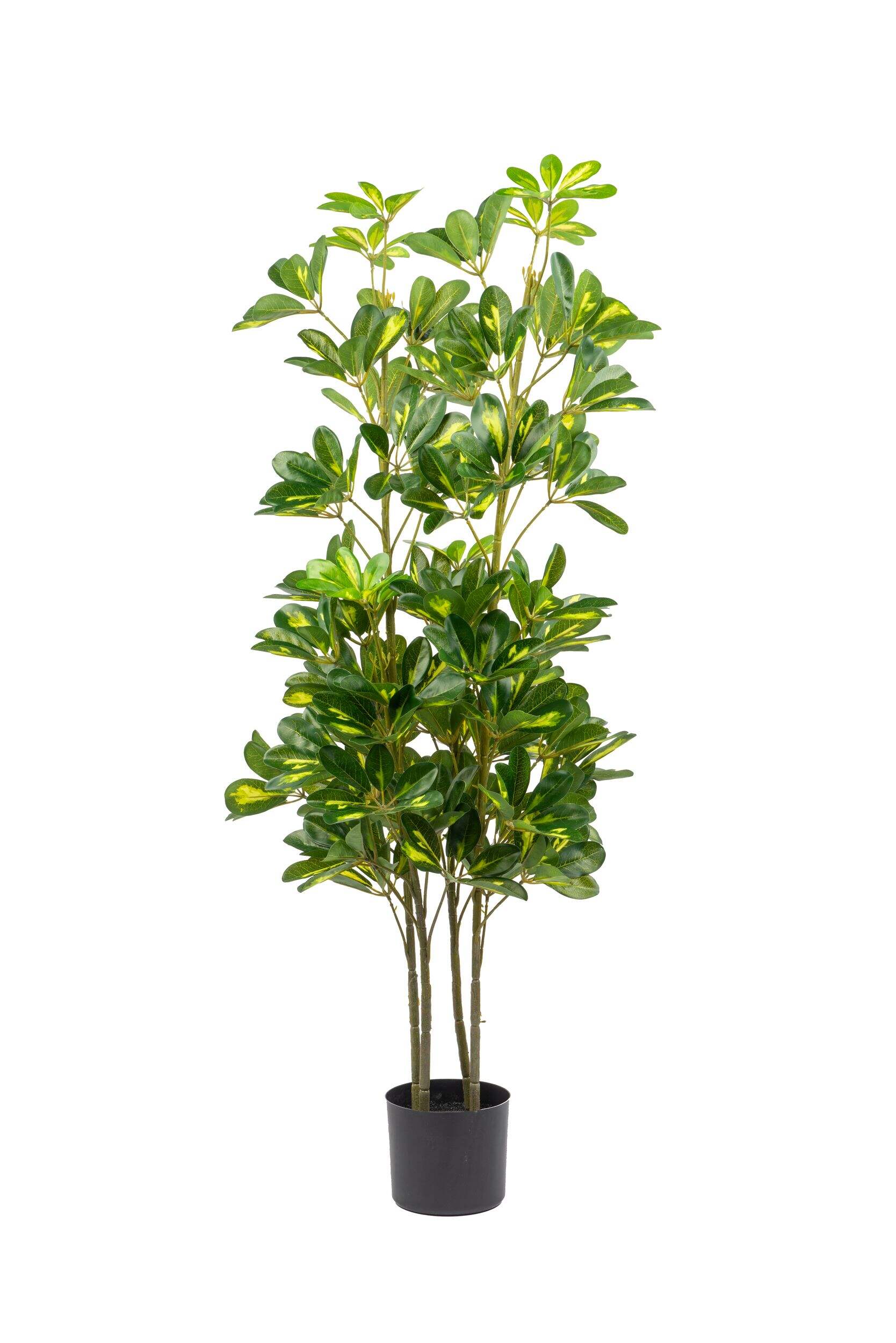 Plante de Schefflera artificielle en pot noir Naturae Décor, 47 po Front_Flat