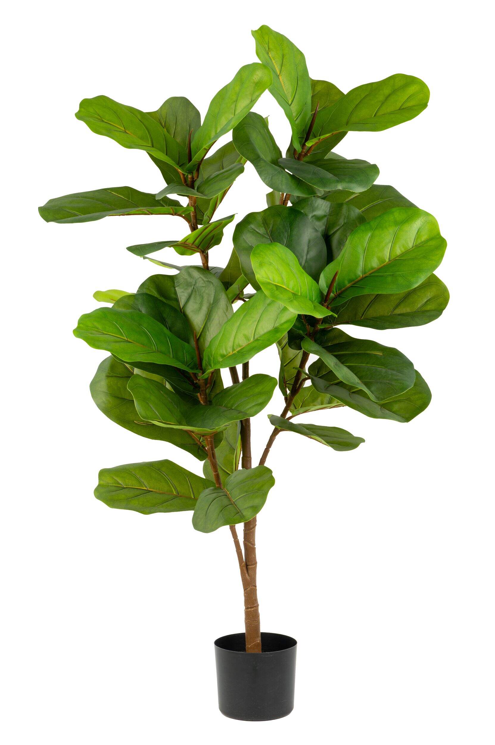 Figuier artificiel d'aspect naturel Naturalae décor, en pot noir, 51 po Front_Flat