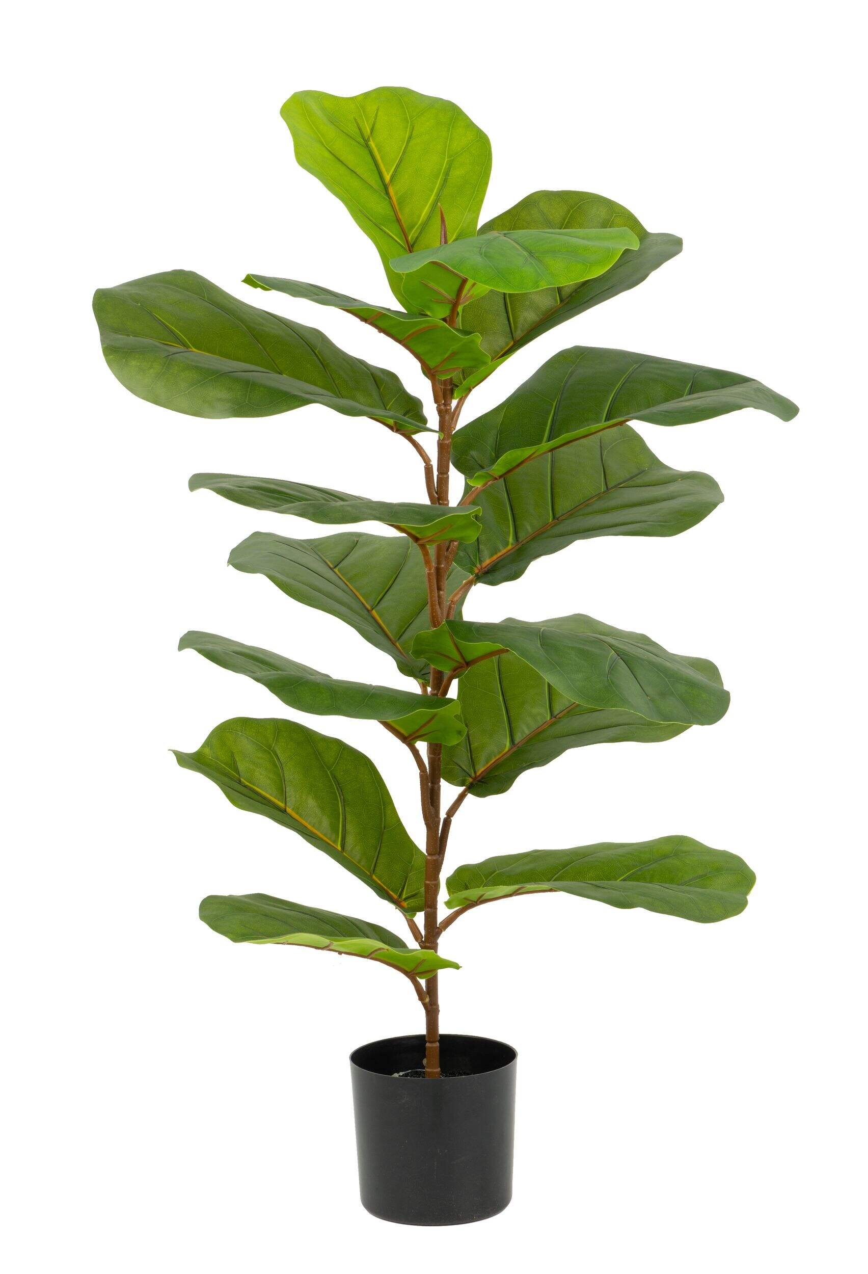 Figuier artificiel d'aspect naturel Naturalae décor, en pot noir, 35 po Front_Flat
