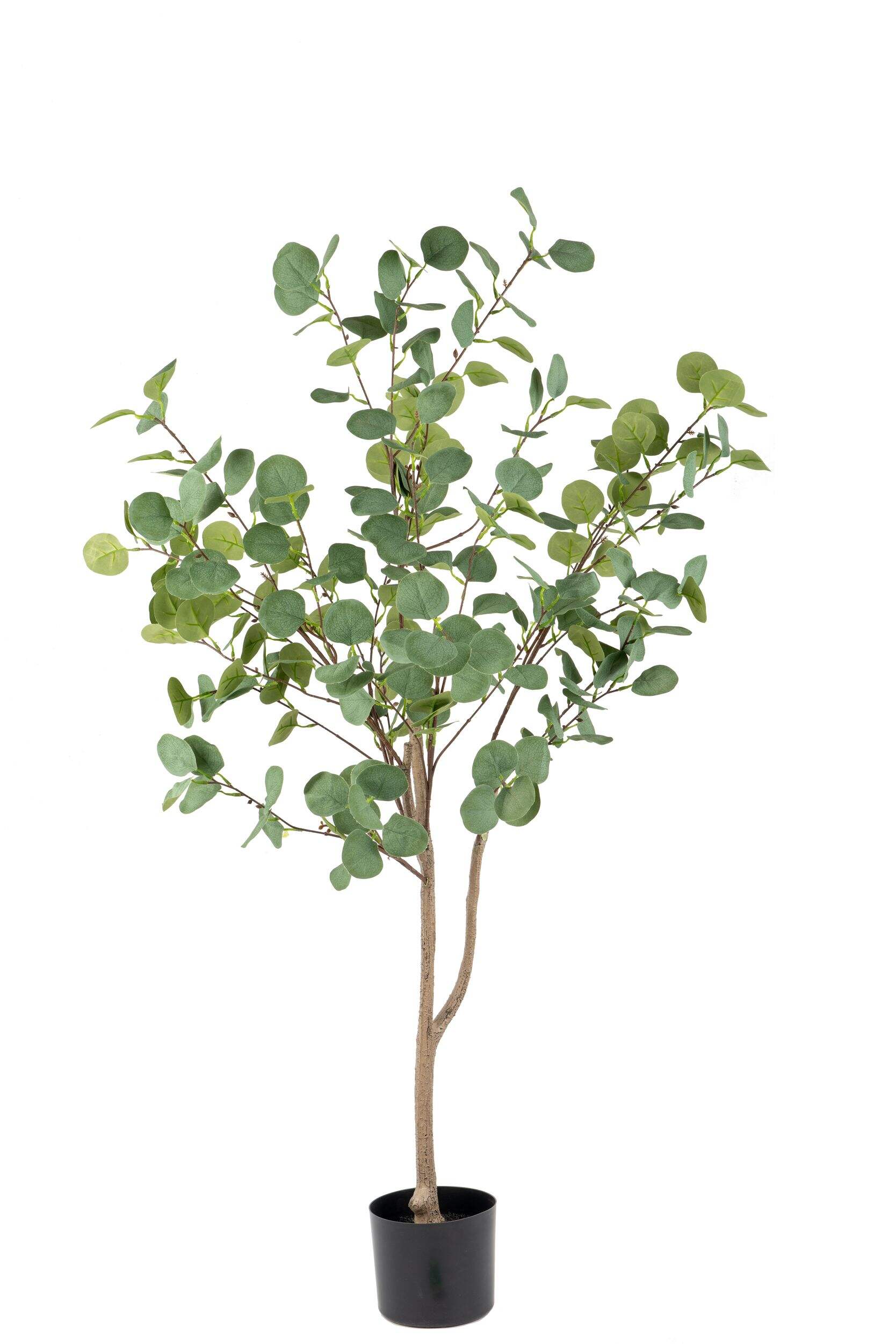 Naturae Décor 51-in Realistic Artificial Indoor/Outdoor Eucalyptus Tree Front_Flat