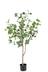Naturae Decor