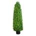 Naturae Decor