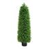 Naturae Decor