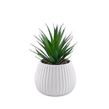 Plante succulente artificielle CANVAS en pot en céramique de 6 po Front_Elevated
