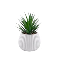 Canvas 6-in Artificial Indoor Succulent Plant in Ceramic Pot Front_Elevated