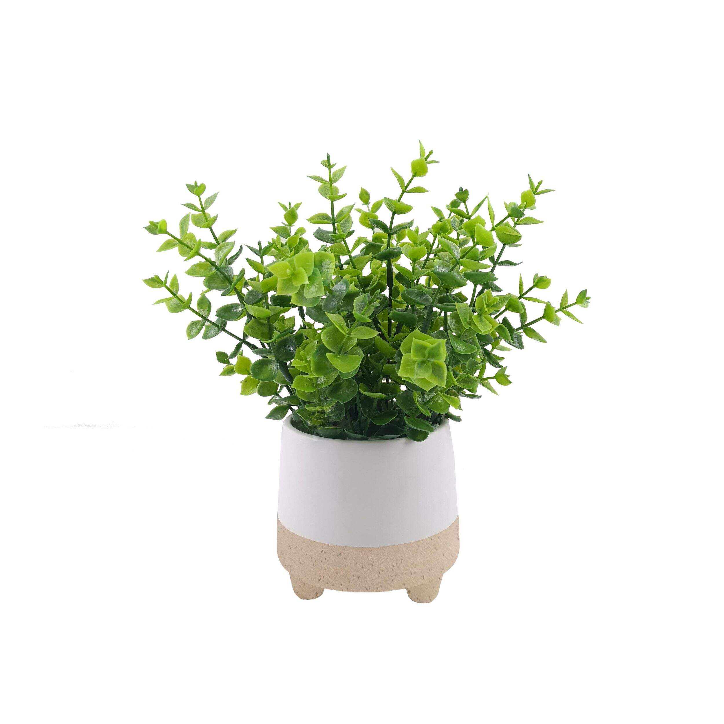 Eucalyptus artificiel en pot deux tons CANVAS, 10,5 po Front_Elevated