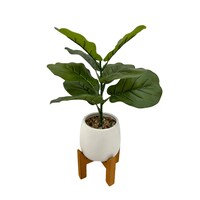 CANVAS 10-in Artificial Indoor Fiddle Plant with Wooden Stand