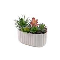 Jardinière intérieure longue pour succulent CANVAS, 7,5 po Front_Angled_Left