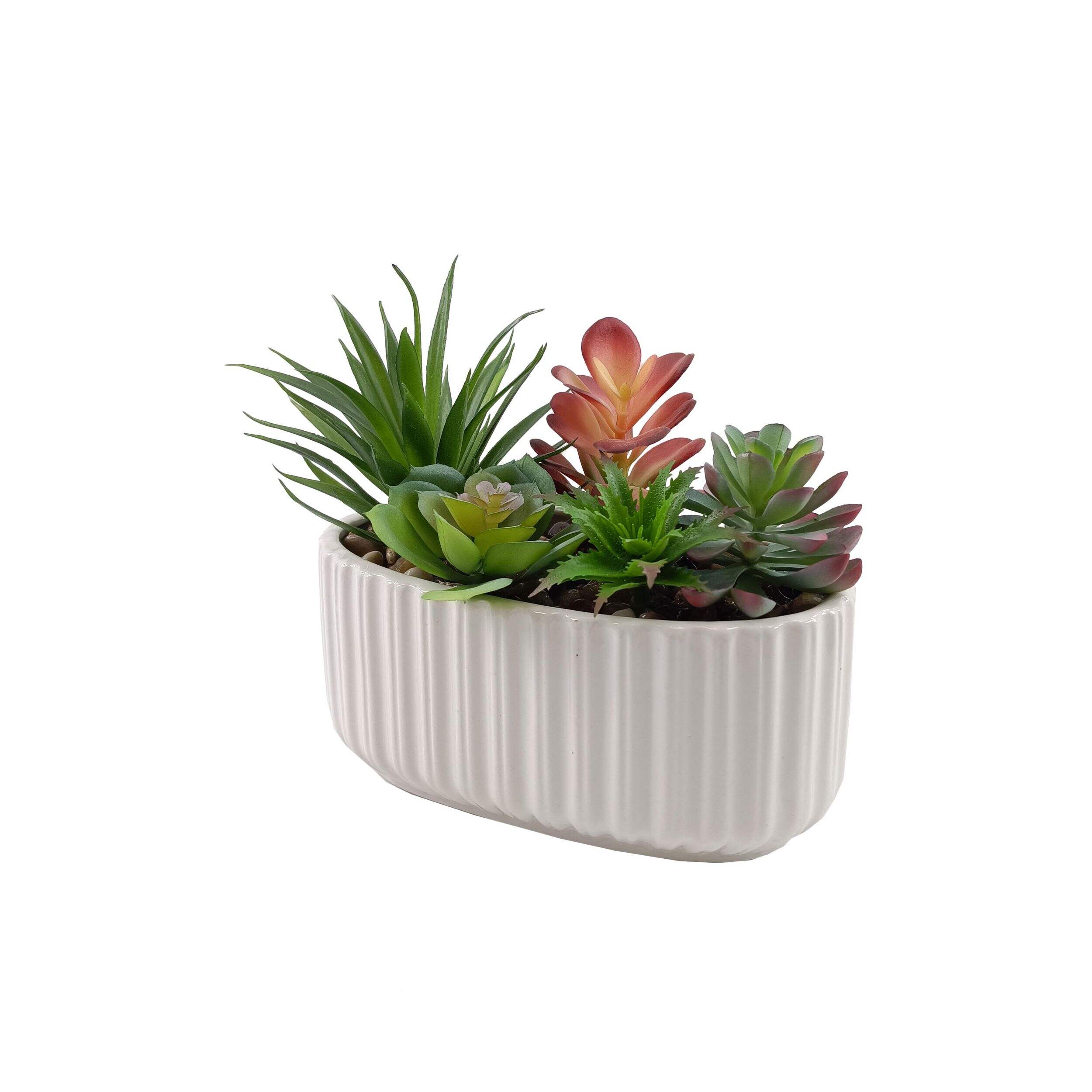 Jardinière succulente longue artificielle CANVAS, 7,5 po Front_Angled_Left