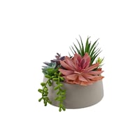 CANVAS 7-in Modern Artificial Indoor Succulent Plant in Cement Pot Front_Elevated
