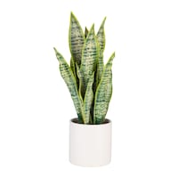 Naturae Décor 18-in Light Sansevieria Artificial Indoor Plant with White Pot