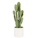 Naturae Décor 19-in Bunny Ears Cactus Artificial Indoor Plant Front_Elevated