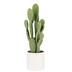 Naturae Decor