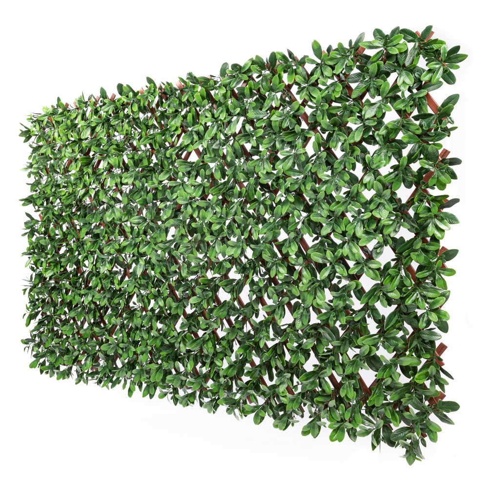 Naturae Décor Artificial Expandable Ficus Trellis, 40 x 80in