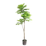 Homeworks Artificial Artocarpus Tree, 6-ft Front_Elevated