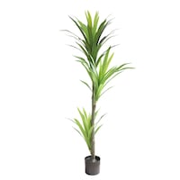Homeworks Artificial Dracaena Plant, 59-in Front_Elevated