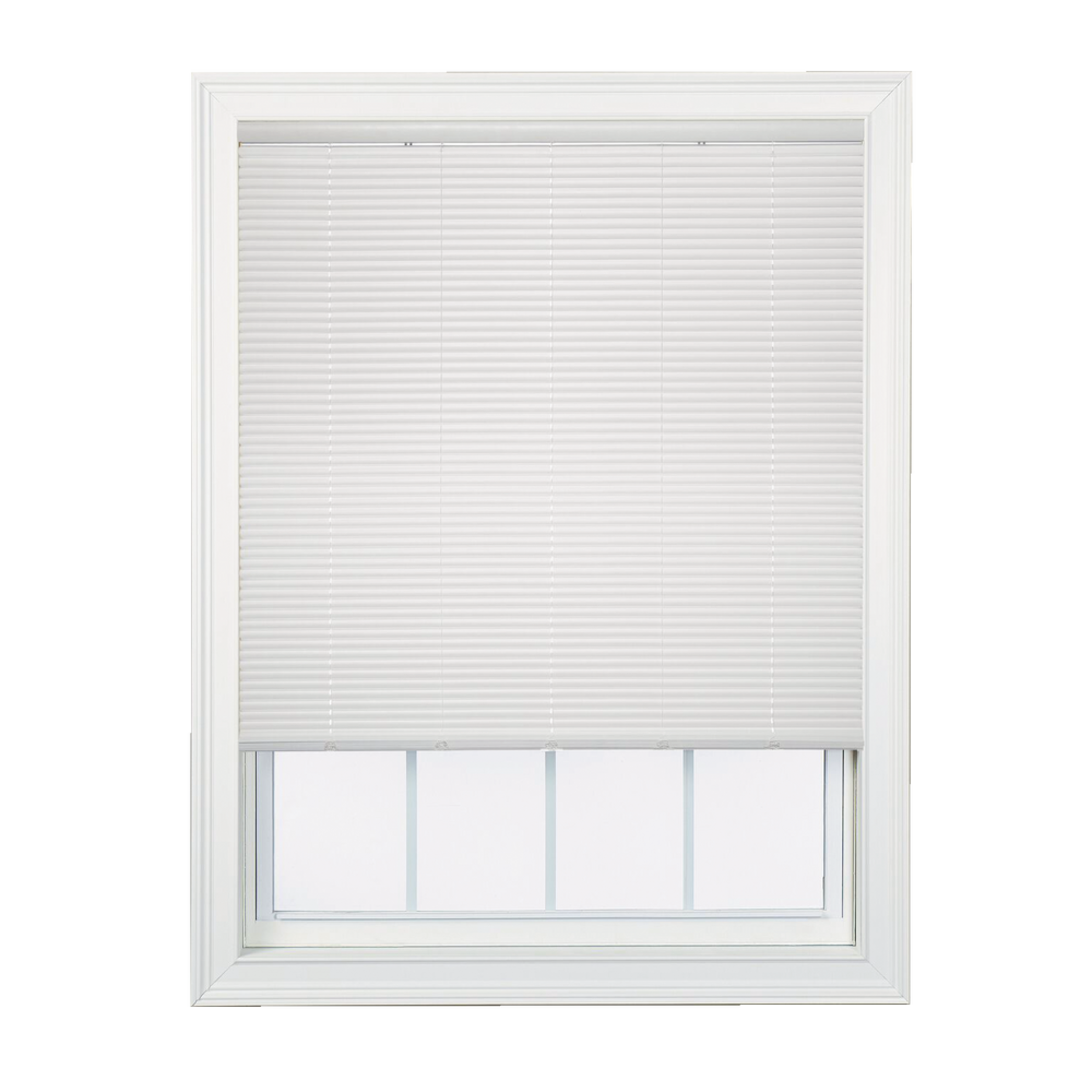 STORE 1PO FL 36X48PO