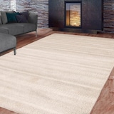 ECARPET Elegance Rectangular Indoor Area Rug, Ivory, Assorted Sizes Overhead_Plunge