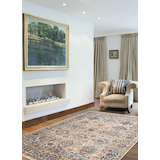 ECARPET Bolivia Yalameh Indoor Area Rug, Blue/Ivory, Assorted Sizes Overhead_Plunge