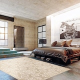 ECARPET Patty Indoor Area Rug, Ivory, Assorted Sizes Overhead_Plunge