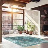 ECARPET Charlotte Indoor Area Rug, Aqua, Assorted Sizes Overhead_Plunge