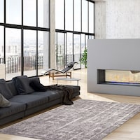 Tapis ECARPETGALLERY&nbsp;Anitra, gris pâle Overhead_Plunge