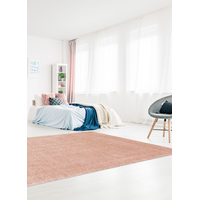 Tapis d'intérieur à poils longs ECARPET Cleo, rose, choix de tailles Overhead_Plunge