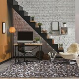 ECARPET Cheetah Indoor Area Rug, Ivory, Assorted Sizes Overhead_Plunge