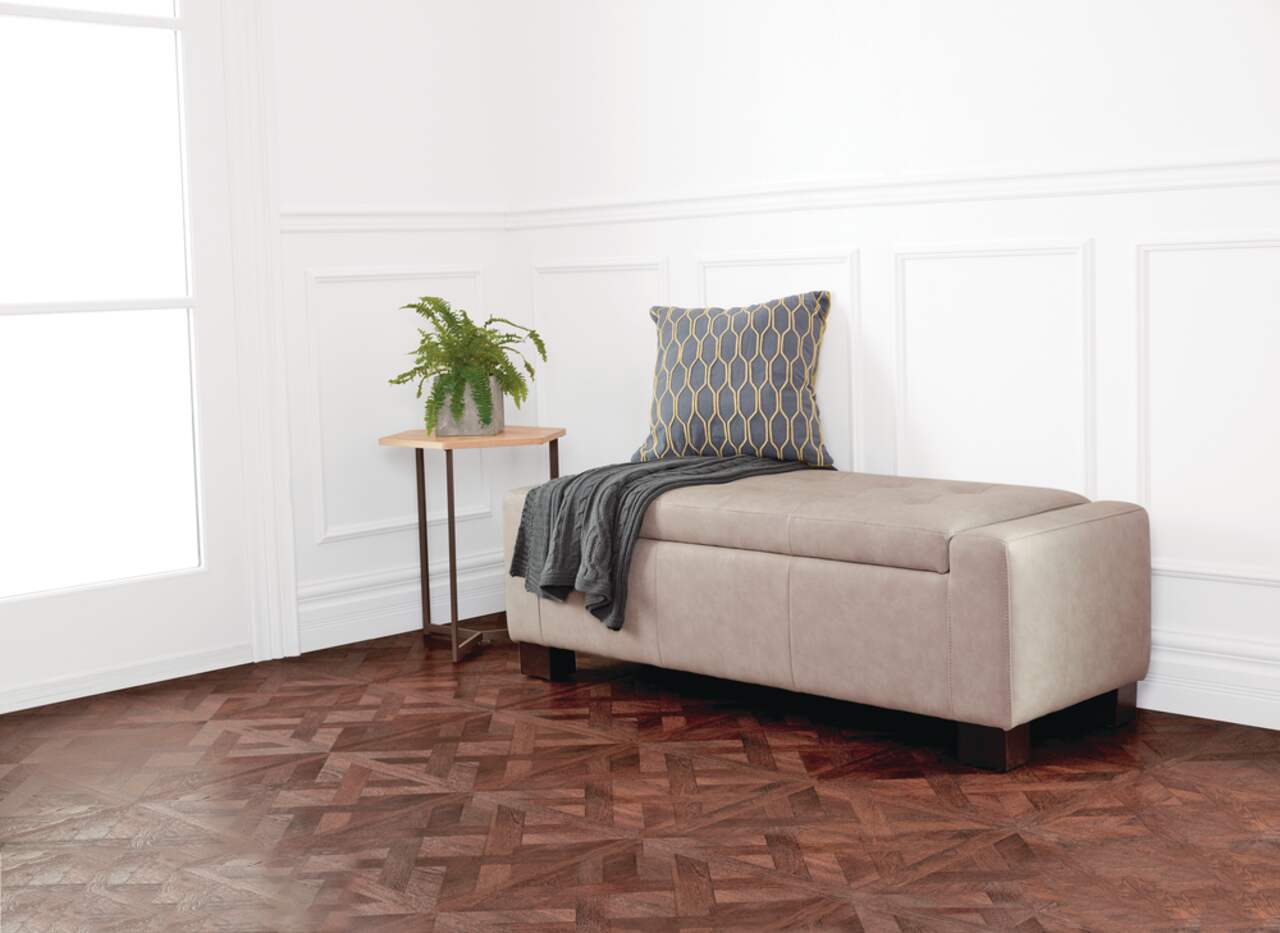 Storage ottoman hot sale canadian tire