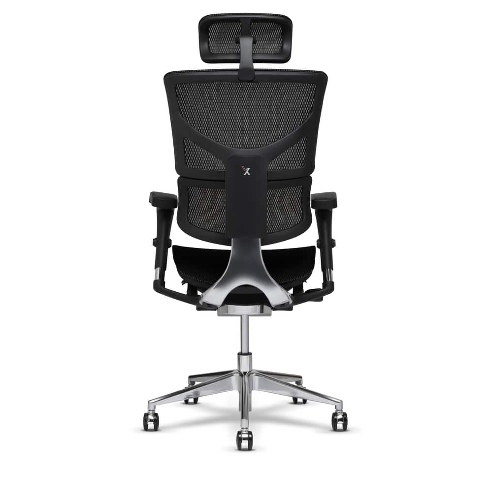 x2 ergonomic chair