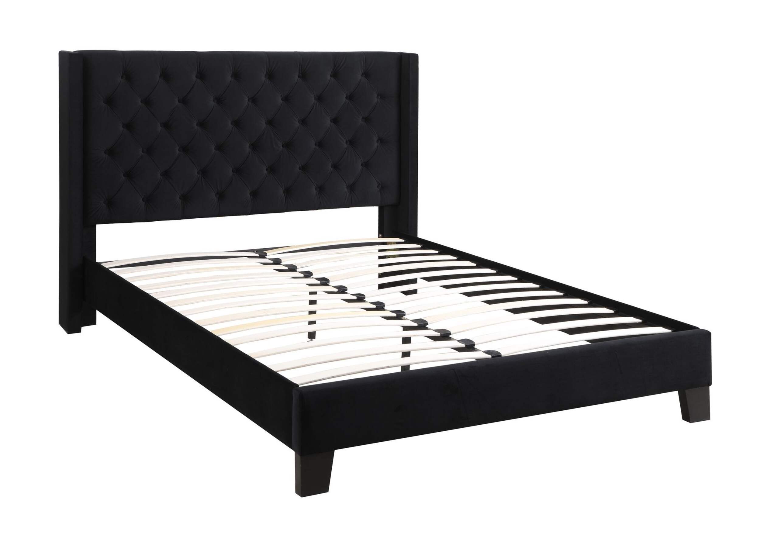 BSX MOLIMO,QN,BLK