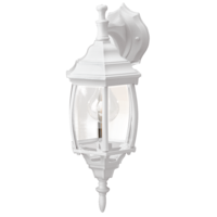 NOMA Curved Clear Bevelled Glass Panels Hanging Outdoor Wall Light , Weather-Resistant, Assorted Colours Front_Three_Fourths_Angled_Left