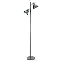 For Living 2-Head Steel Shades Floor Lamp, 64.4-in, Black Front_Flat