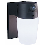 Motion Sensor  Basic Light, 110-Degree