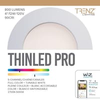 Luminaire encastré à DEL Trenz Lighting, 4 po